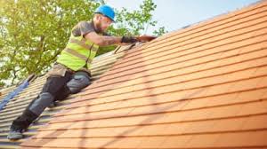 Best Rubber Roofing (EPDM, TPO)  in Trinity, FL