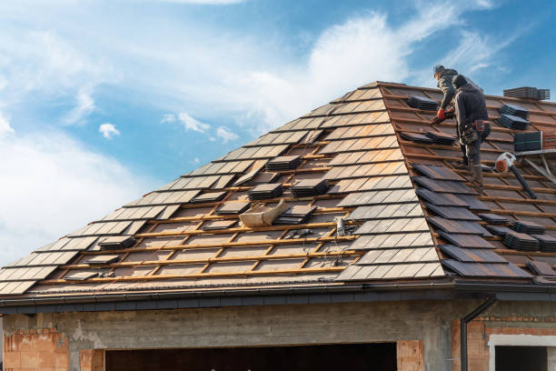 Best Roof Installation  in Trinity, FL