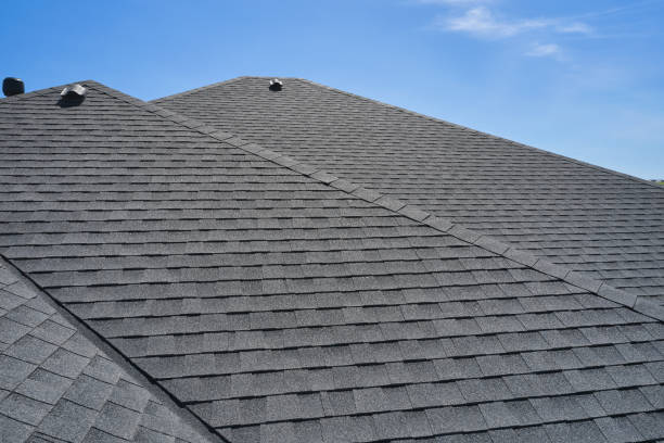 Best Asphalt Shingle Roofing  in Trinity, FL